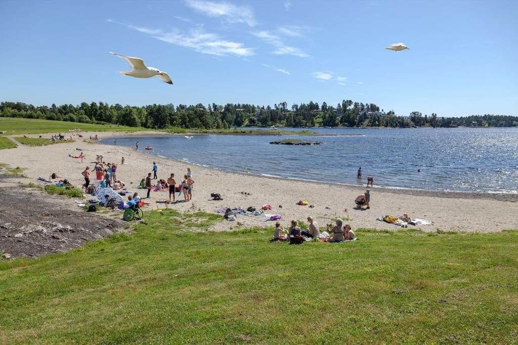 Scandpoint Apartment Fornebu Near Sea Front With Outdoor Walk! Stabekk 外观 照片